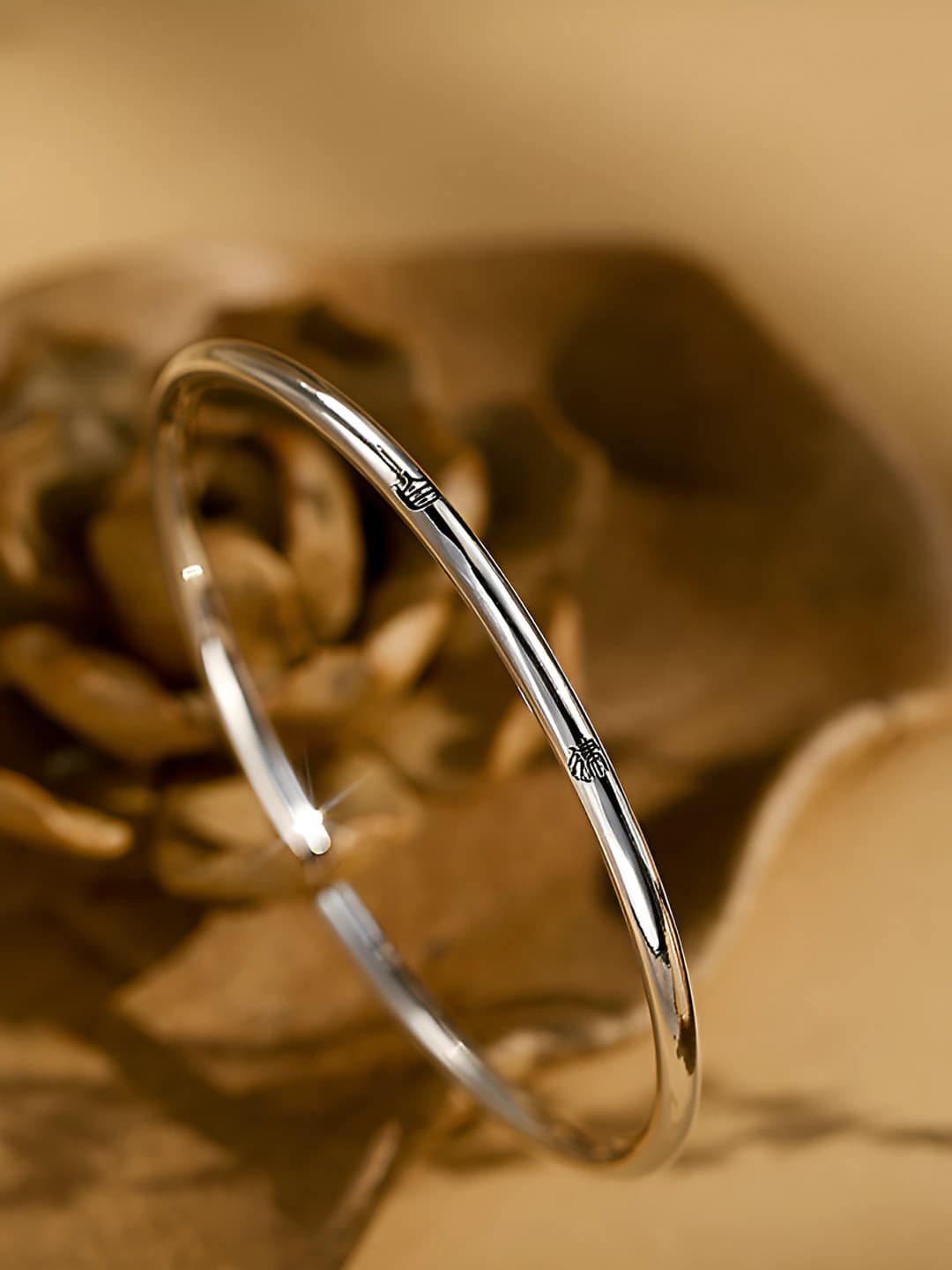 Self-discipline, polished silver
