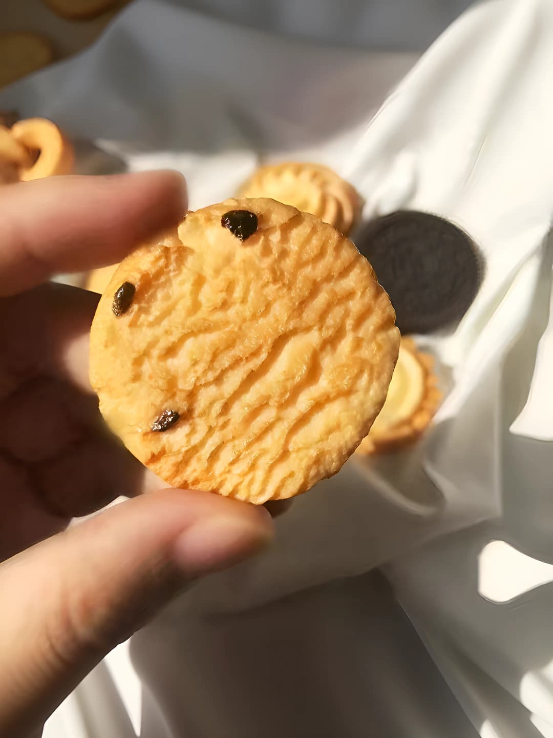 Cranberry cookie, ~3 cm