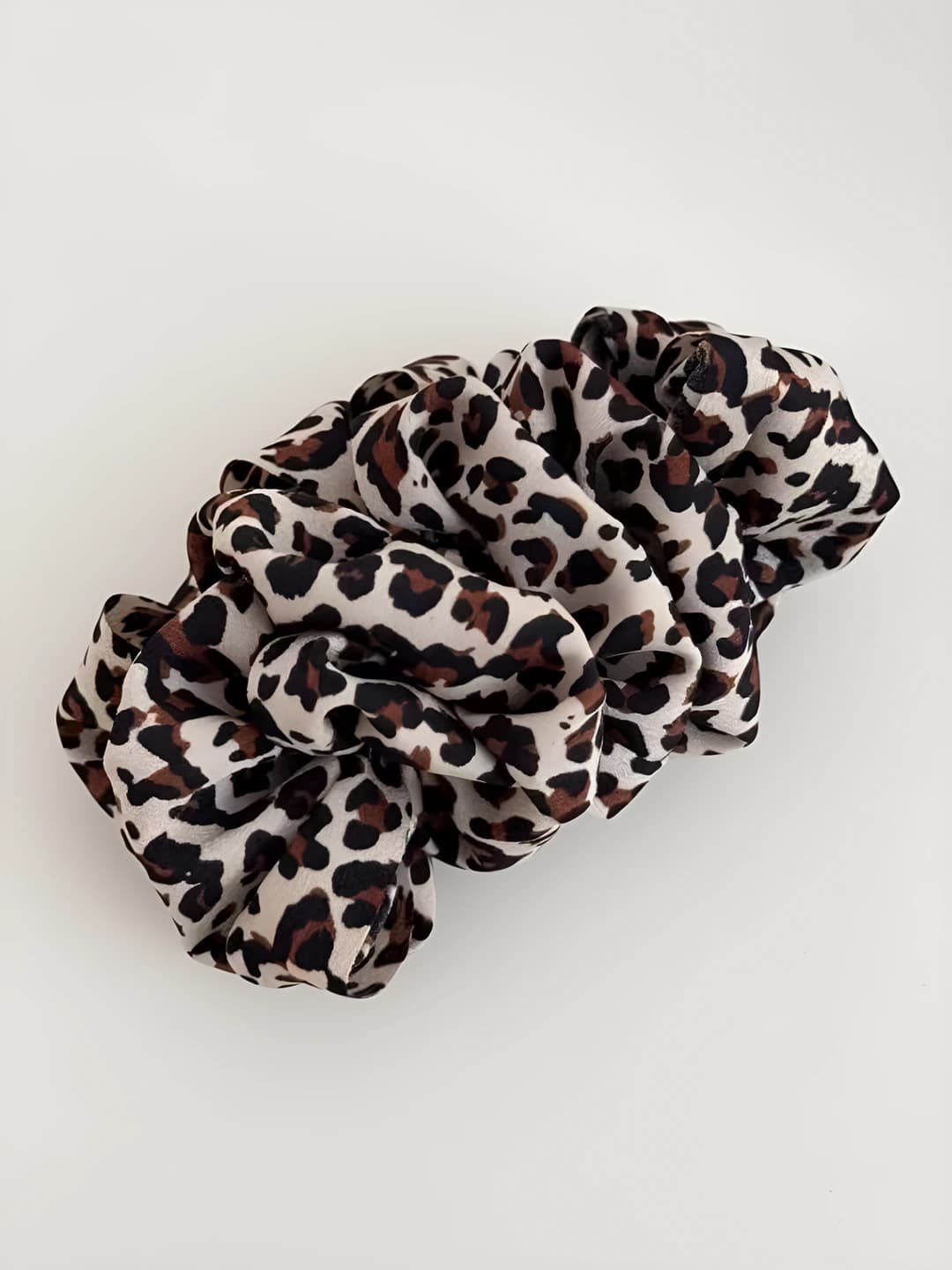 Bej leopard, asosiy qisqich 10 sm, umumiy 11.5 sm