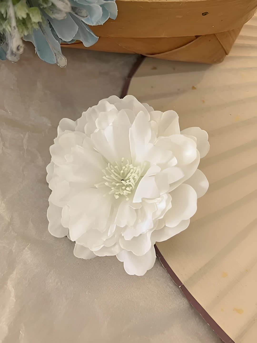 1# White ombré camellia ~7 cm