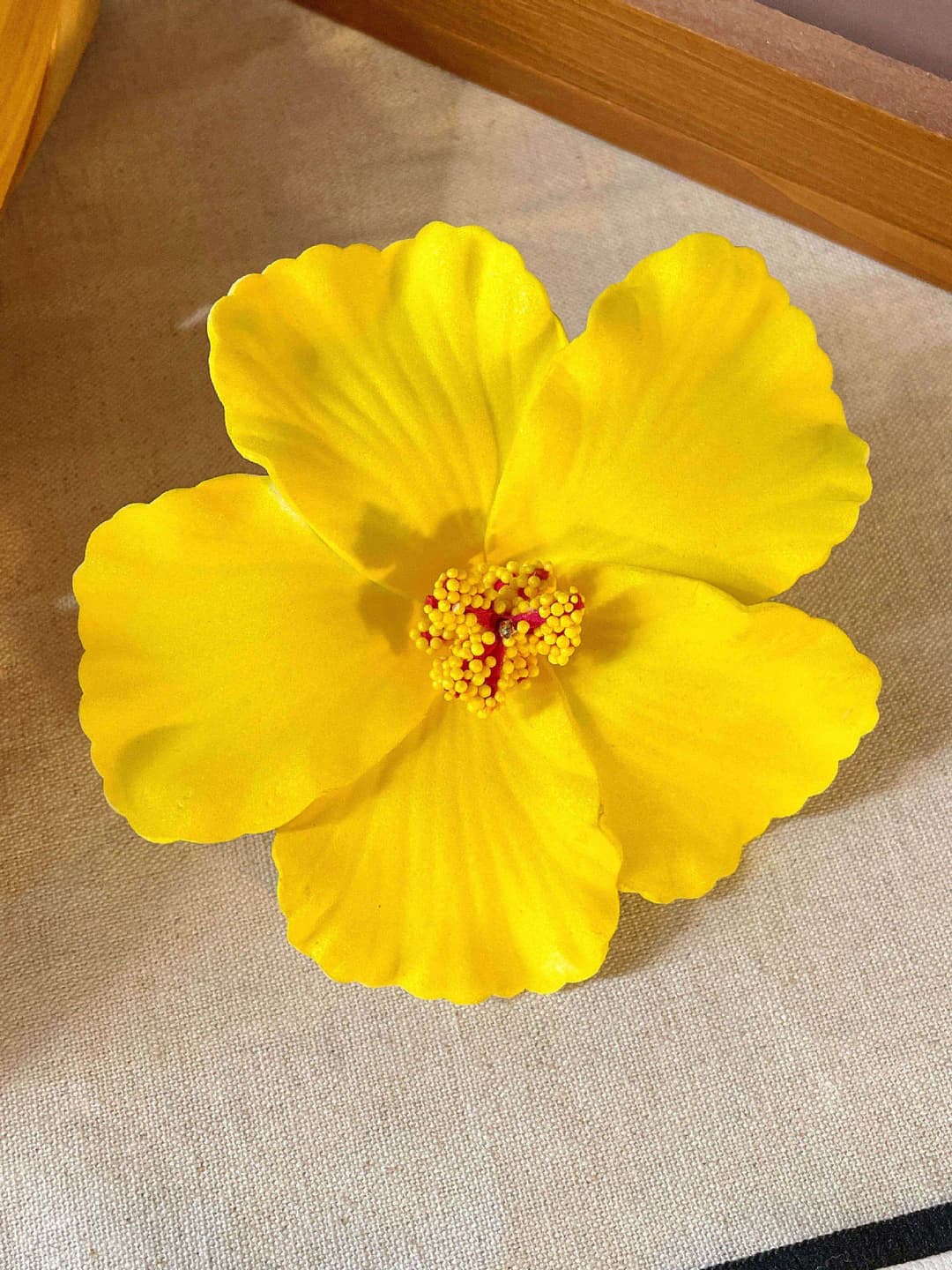 4# Hibiscus hair clip