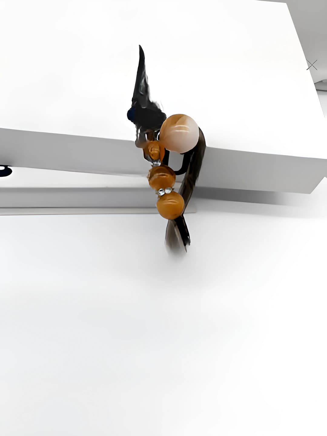 Coffee pearl twist clip