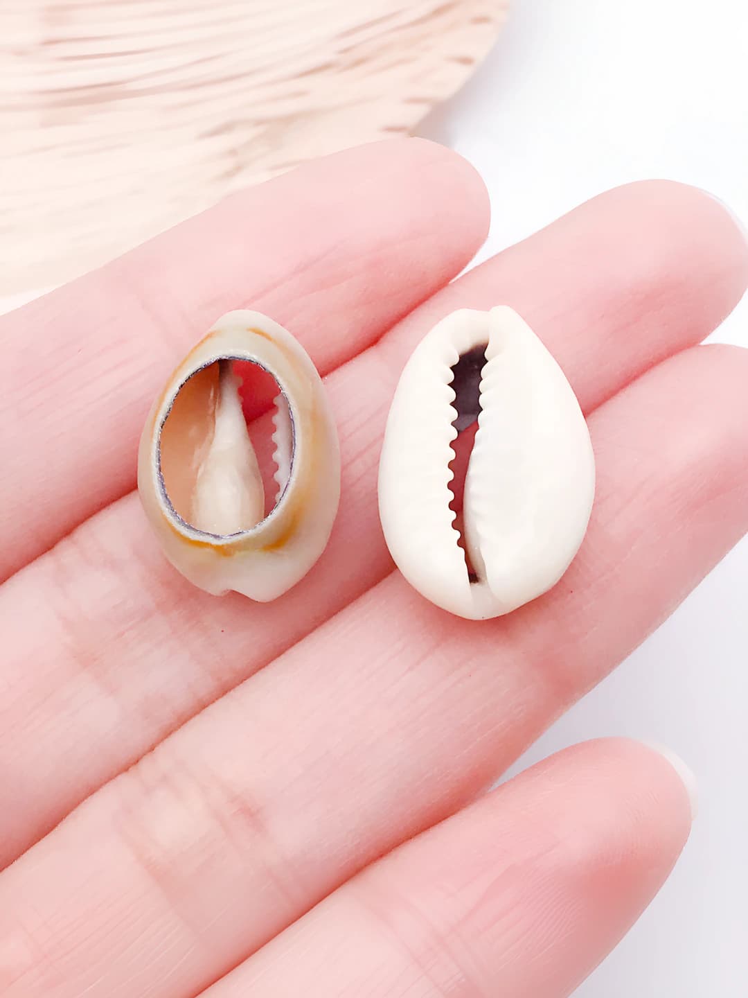 10g (10 dona) 16-18mm kulrang tabiiy qotil 18x12mm 0.95g