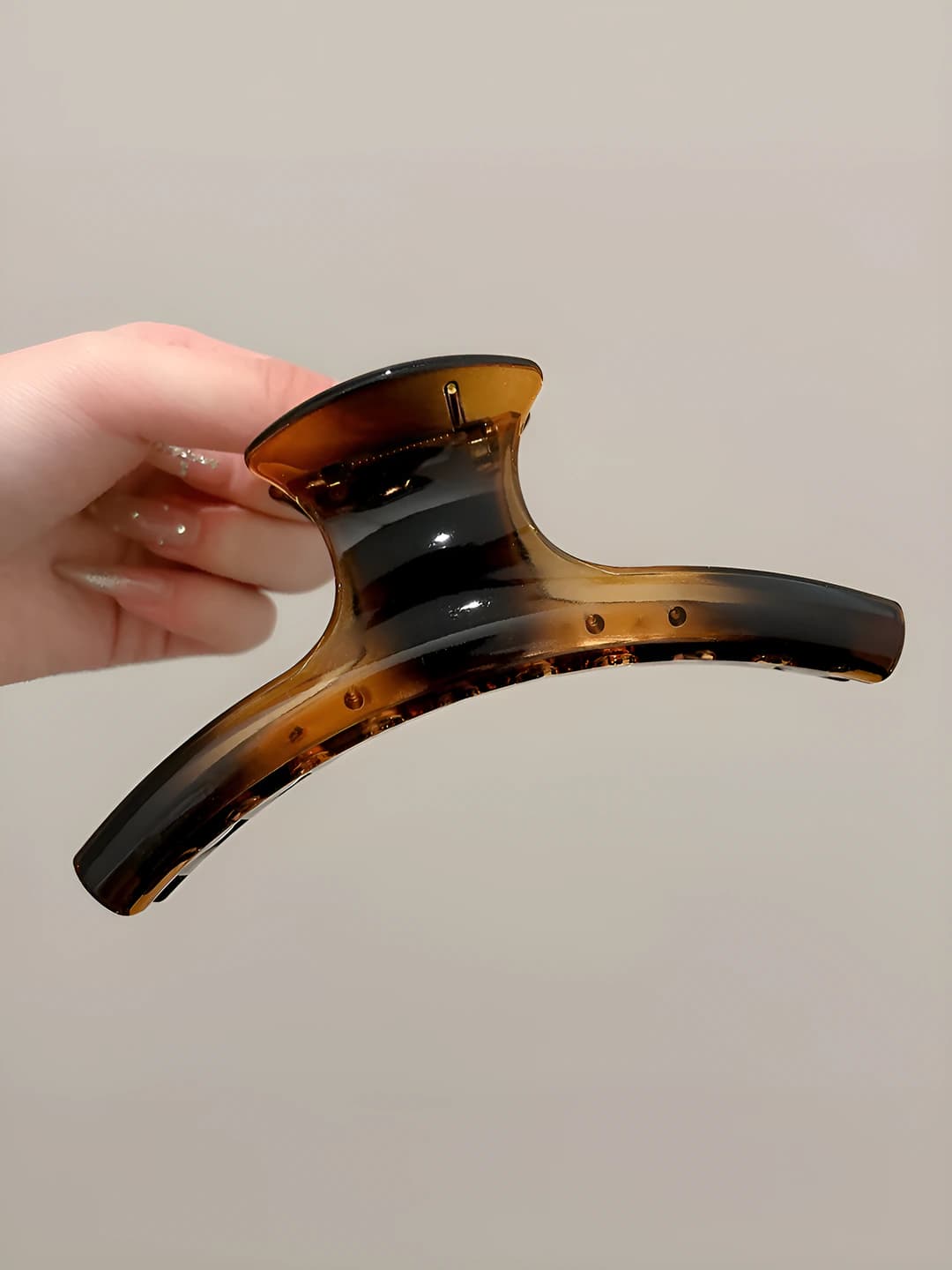 Glossy Tortoise, 15 cm