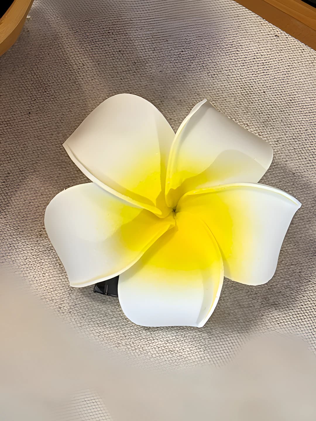 Plumeria soch qisqich
