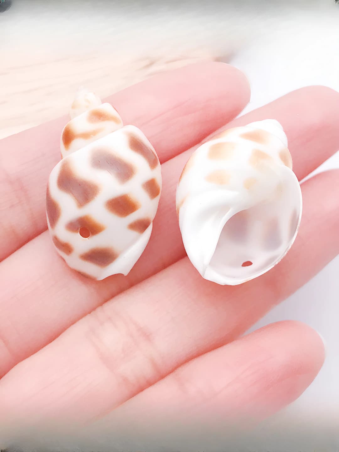 10g (5 dona) 28x17mm teshikli katta jigarrang-oq tabiiy qotil 1.99g