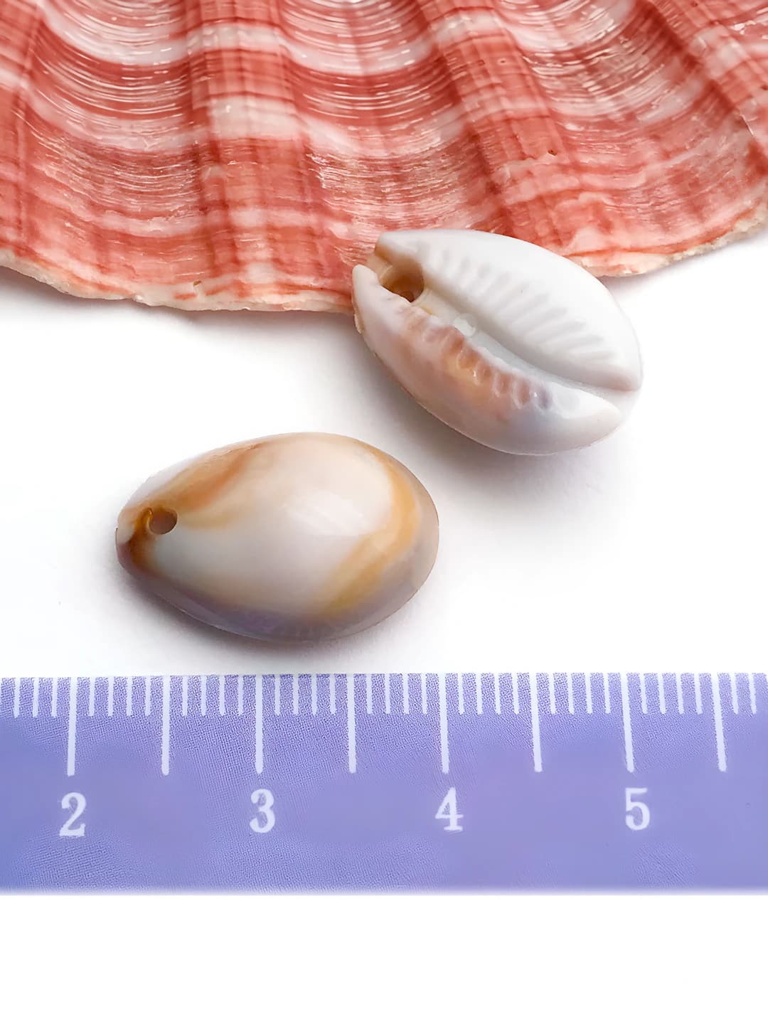 1 шт. бежевая раковина, 12x18mm