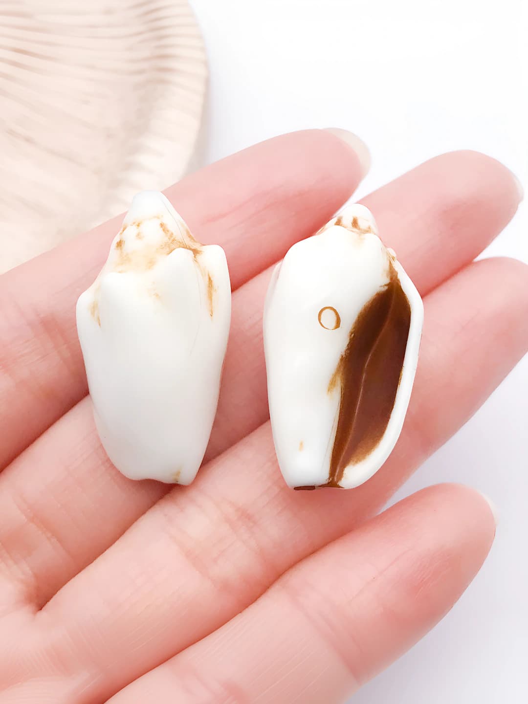 1 шт. коричневый акрил раковина 30x15mm-2.5g