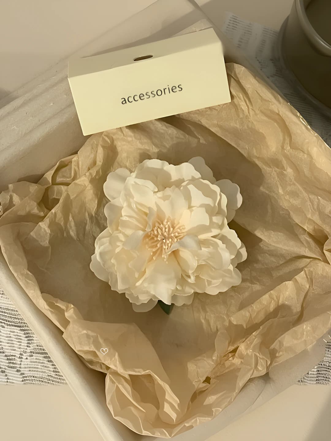 3# Apricot ombré camellia ~7 cm