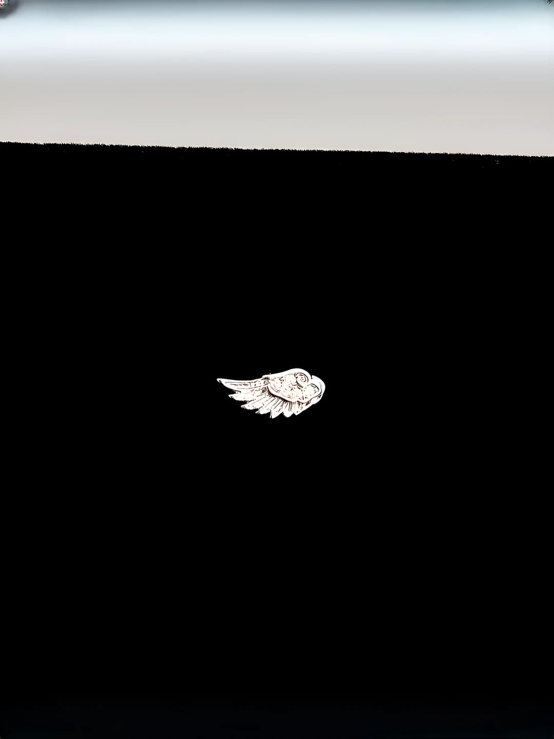 A99046 Angel wing - Right 1 pc