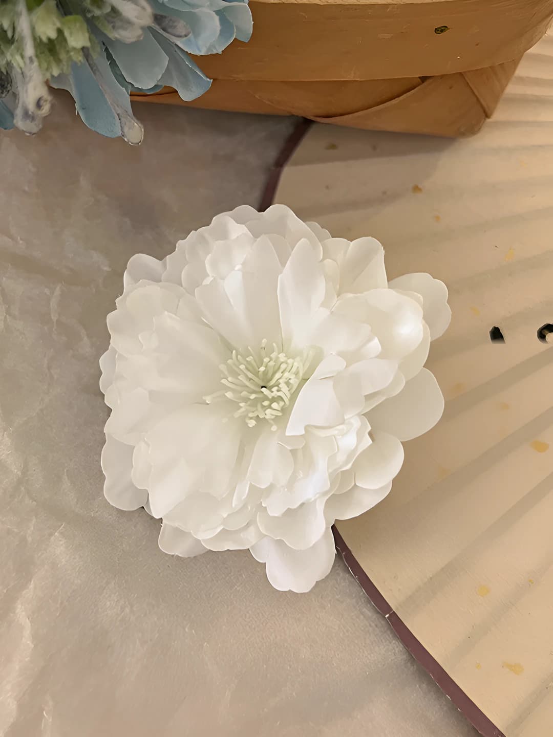 1# White ombré camellia ~7 cm