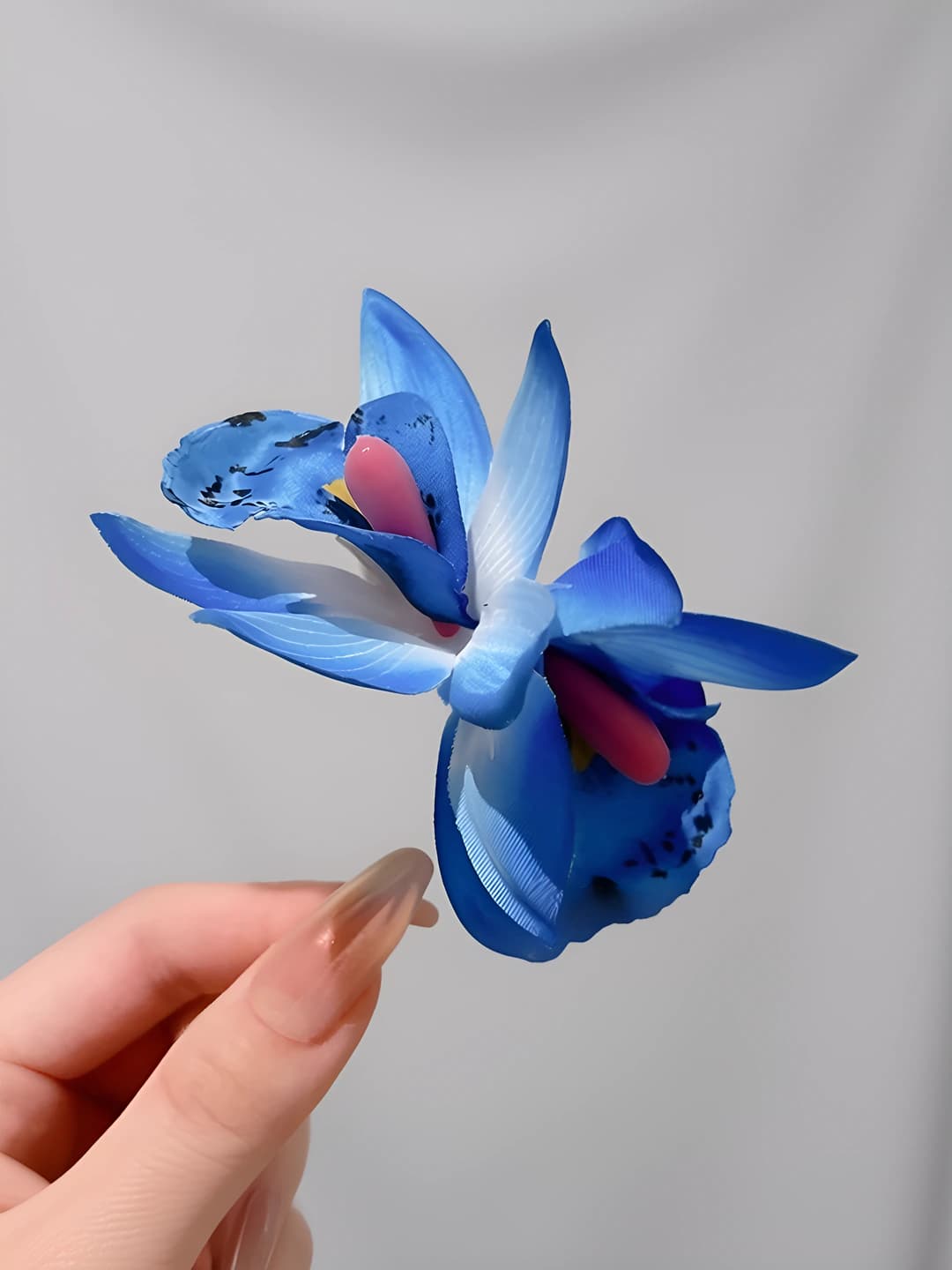 4# Gradient ko'k 3D phalaenopsis
