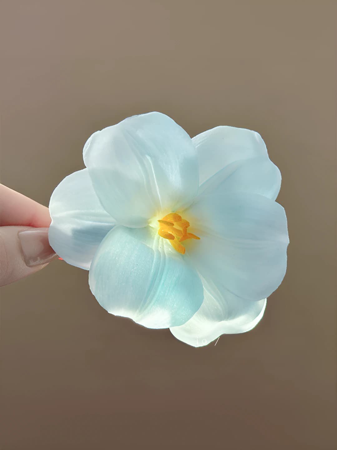 2# Tulip side clip, blue-white