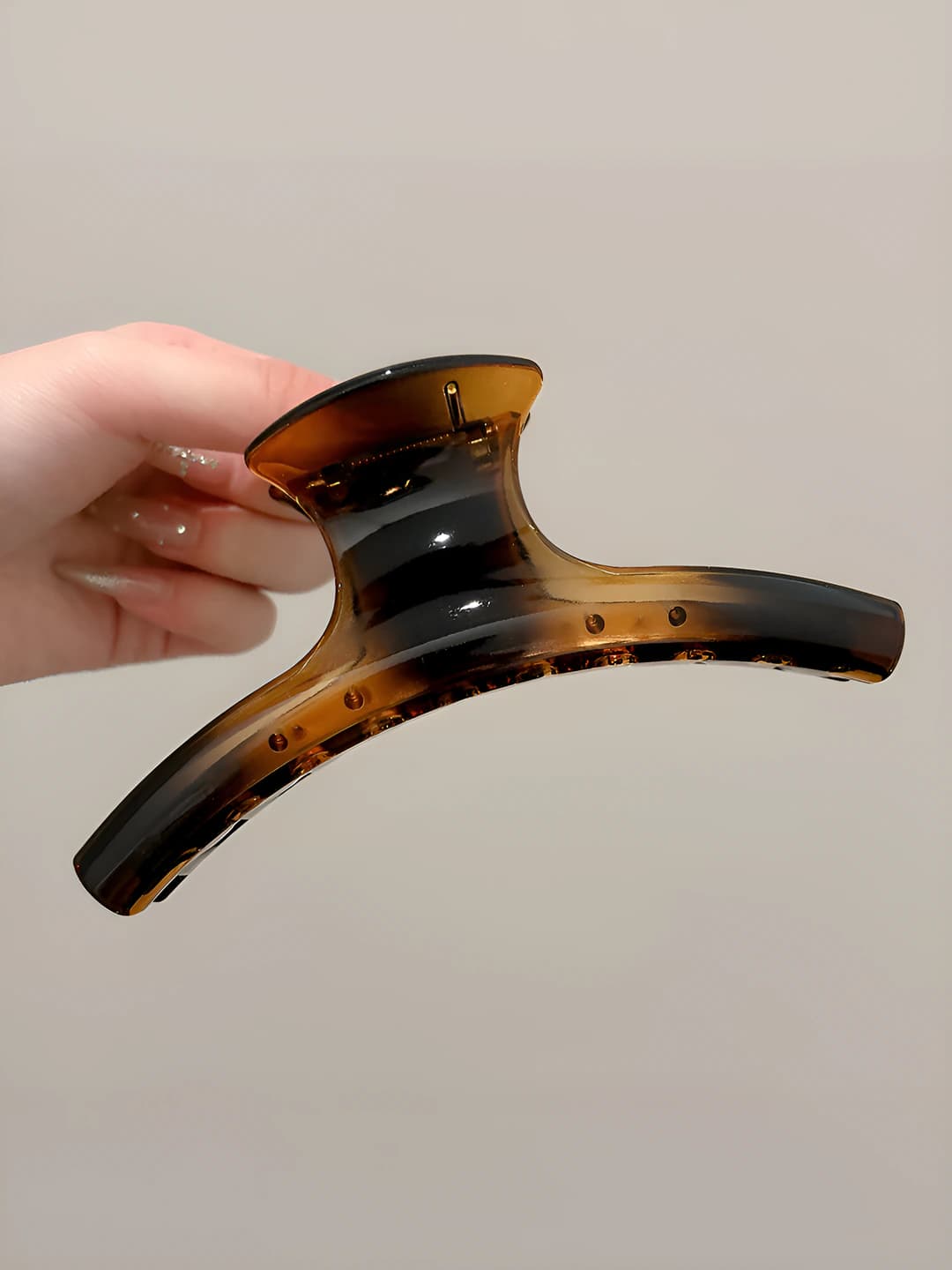 Glossy Tortoise, 15 cm