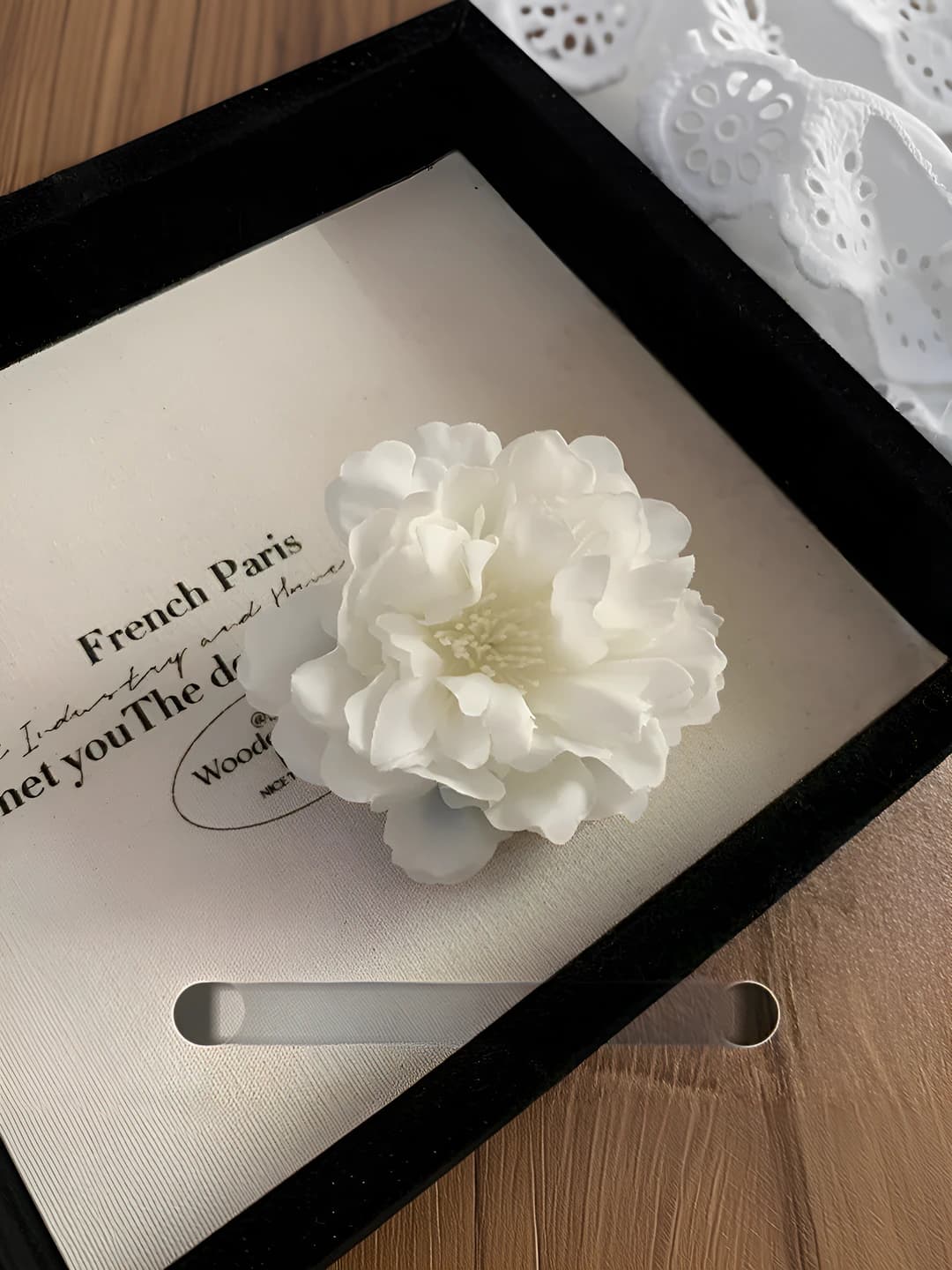 1# White ombré camellia ~7 cm