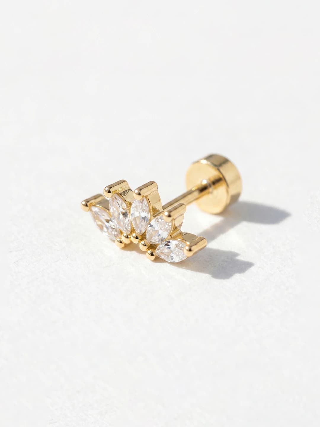 Sku5537