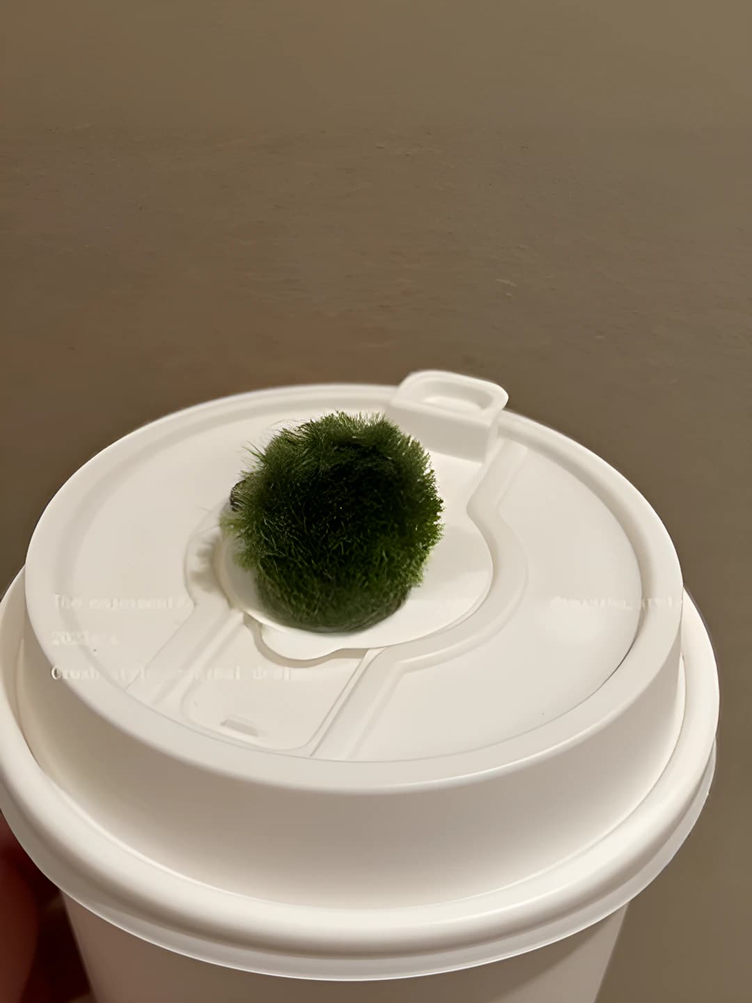 Dark green ring