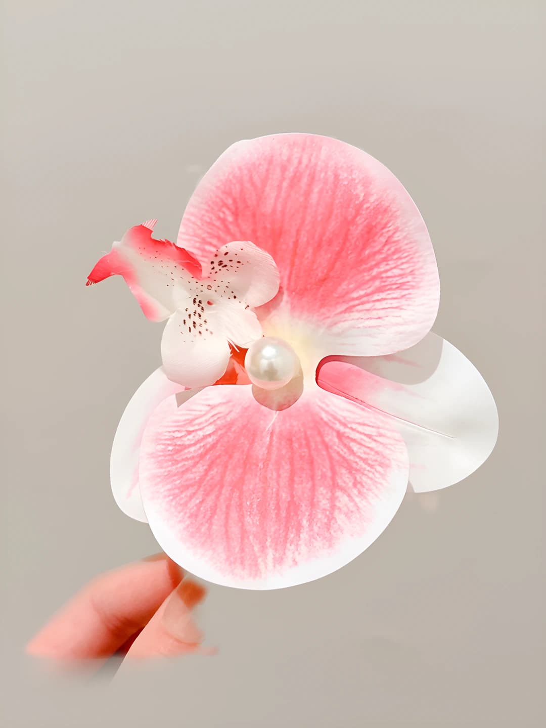 2# Pink phalaenopsis duckbill clip