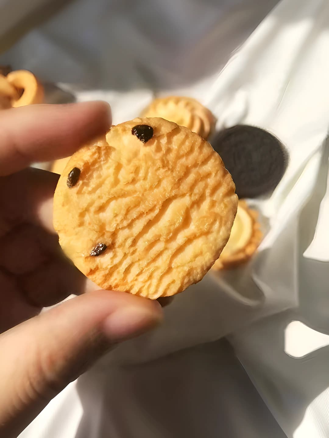Клюквенное печенье, ~3 см
