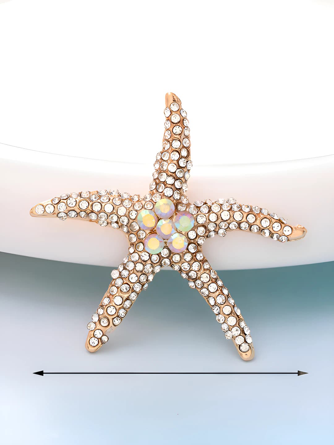 D327 Large sea star