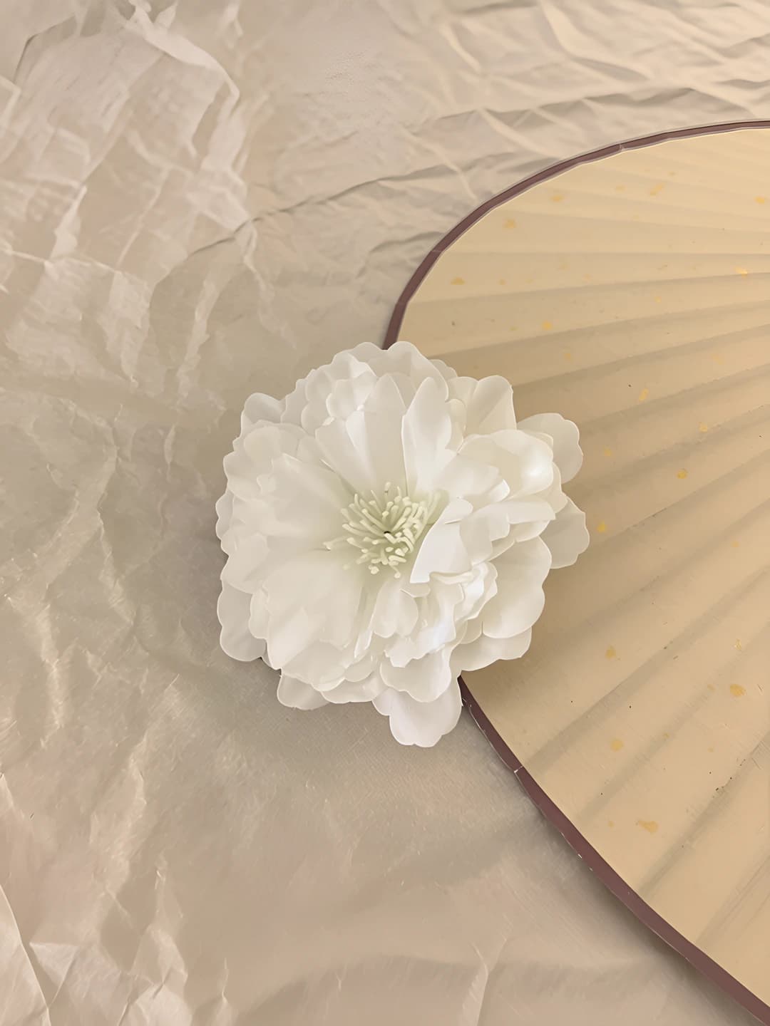 1# White ombré camellia ~7 cm
