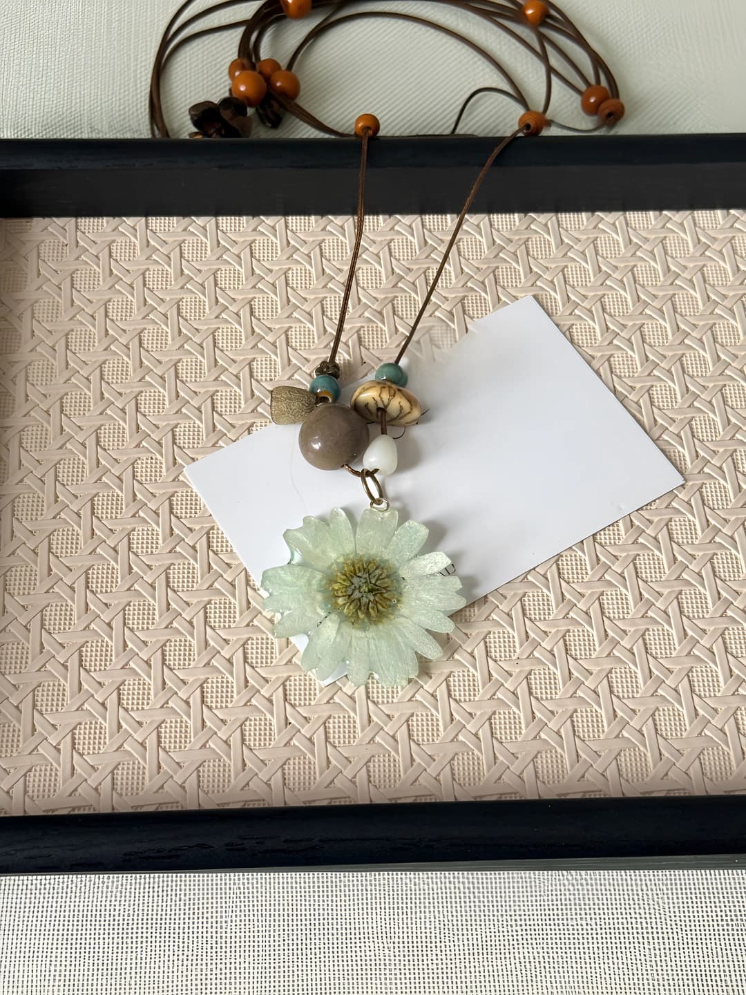 Light blue marguerite