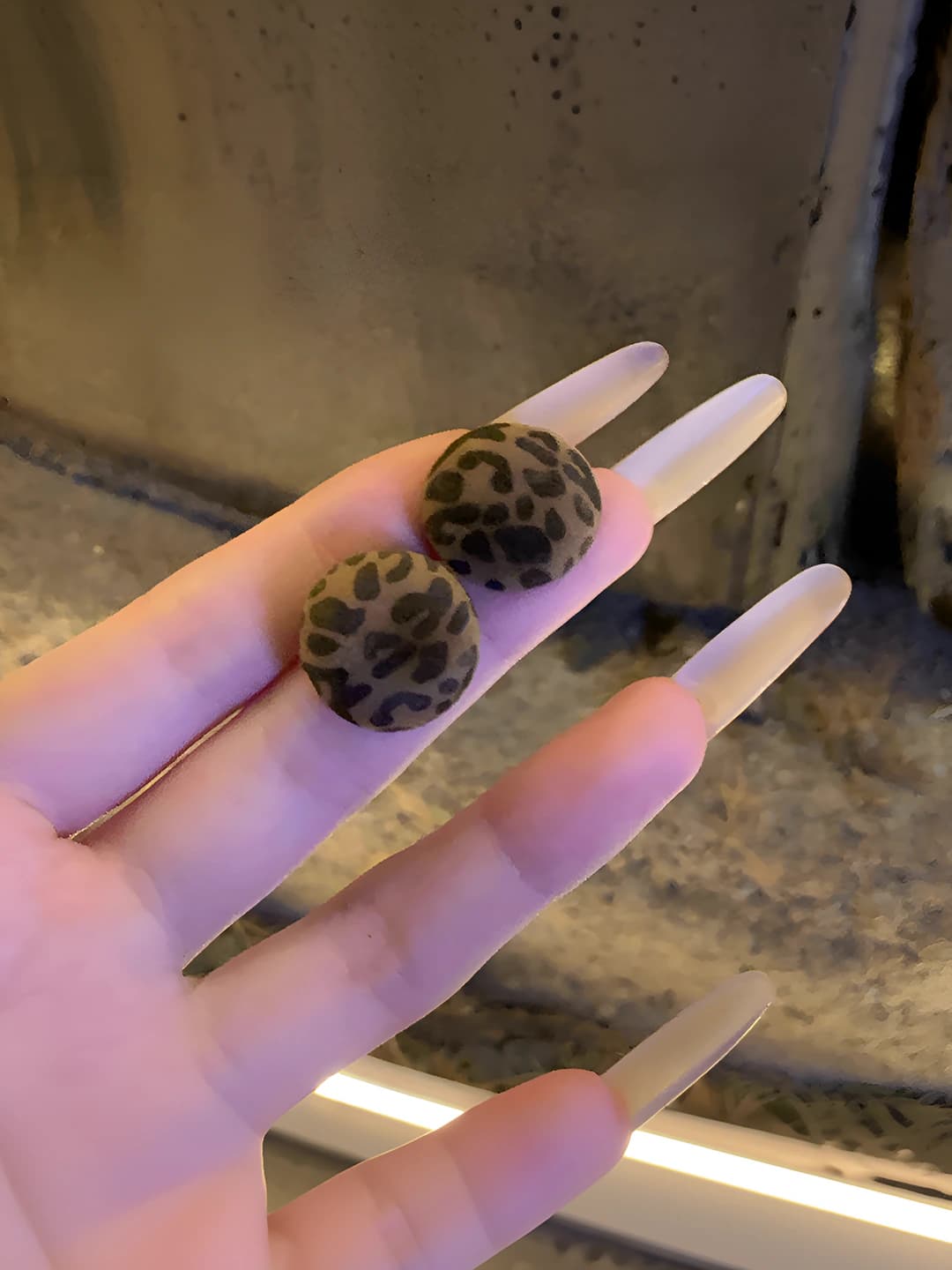 Round