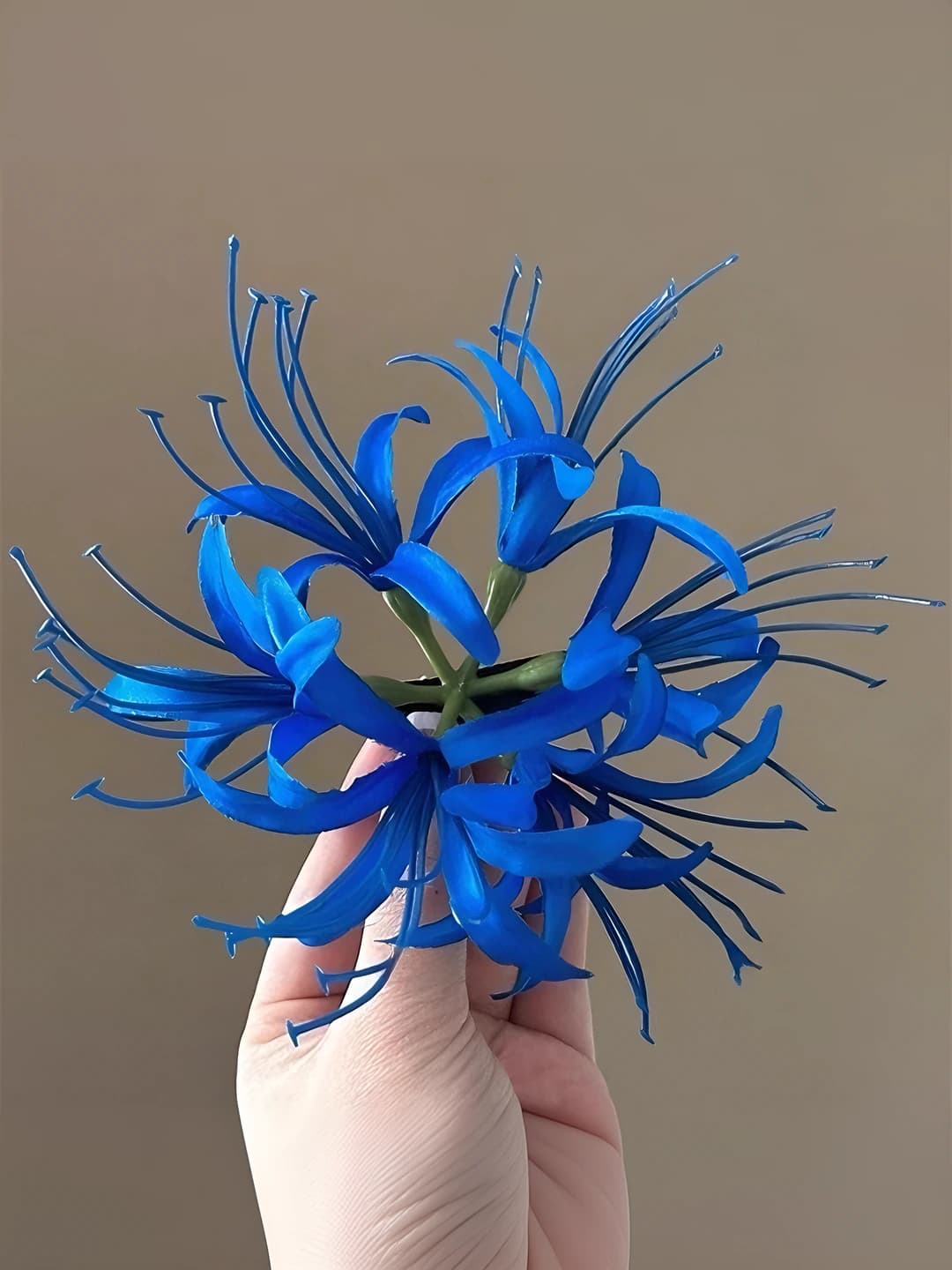 Blue higan hair clip (1 pc)