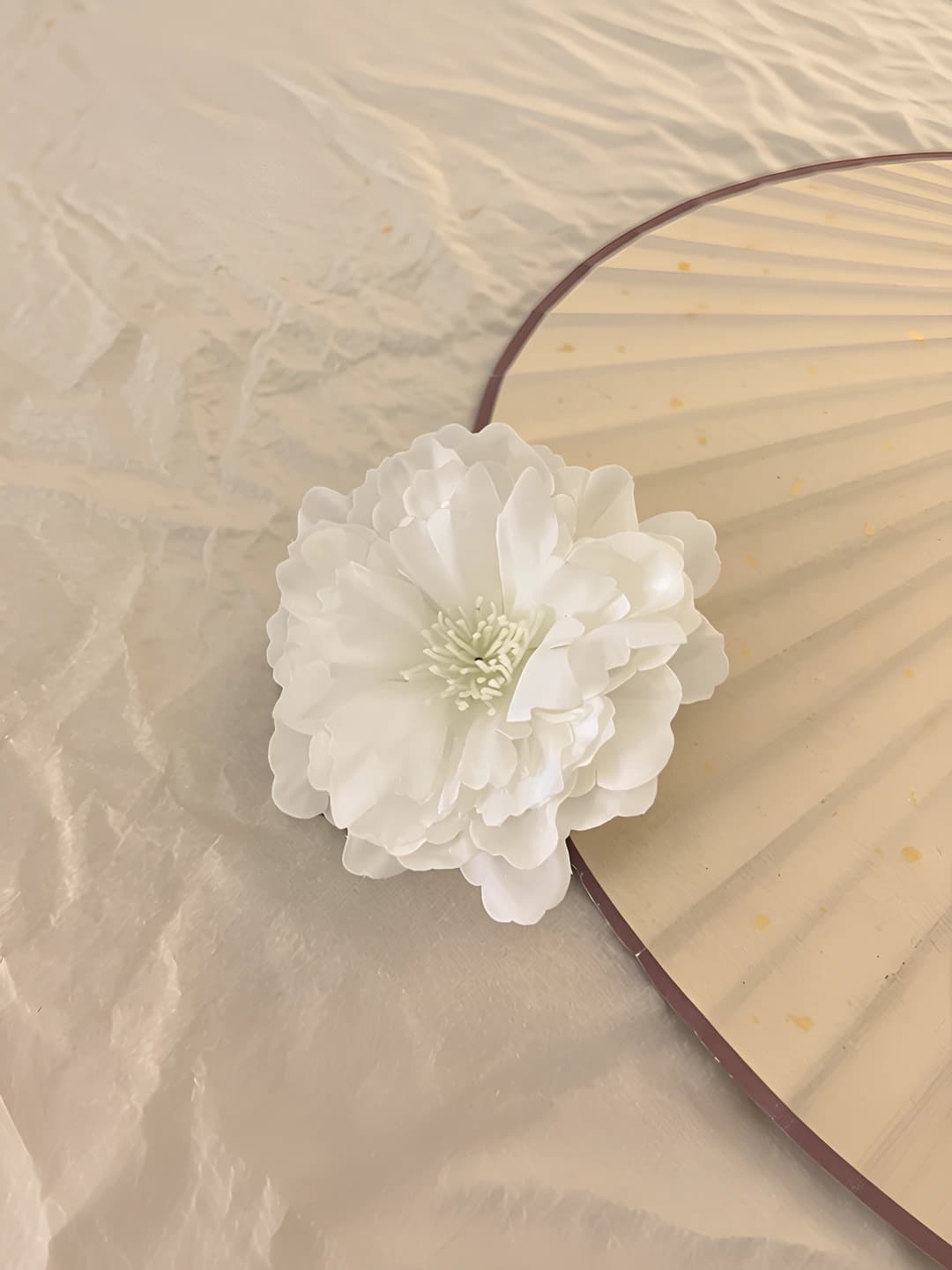 1# White ombré camellia ~7 cm