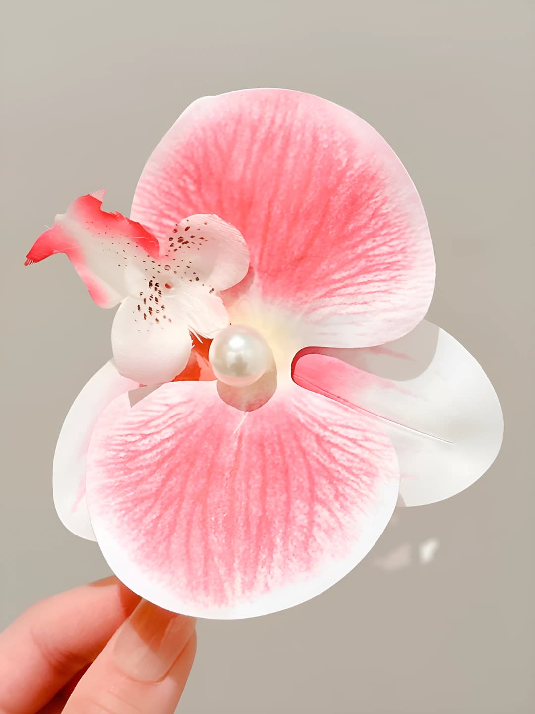 2# Pushti phalaenopsis qisqich ~9 sm
