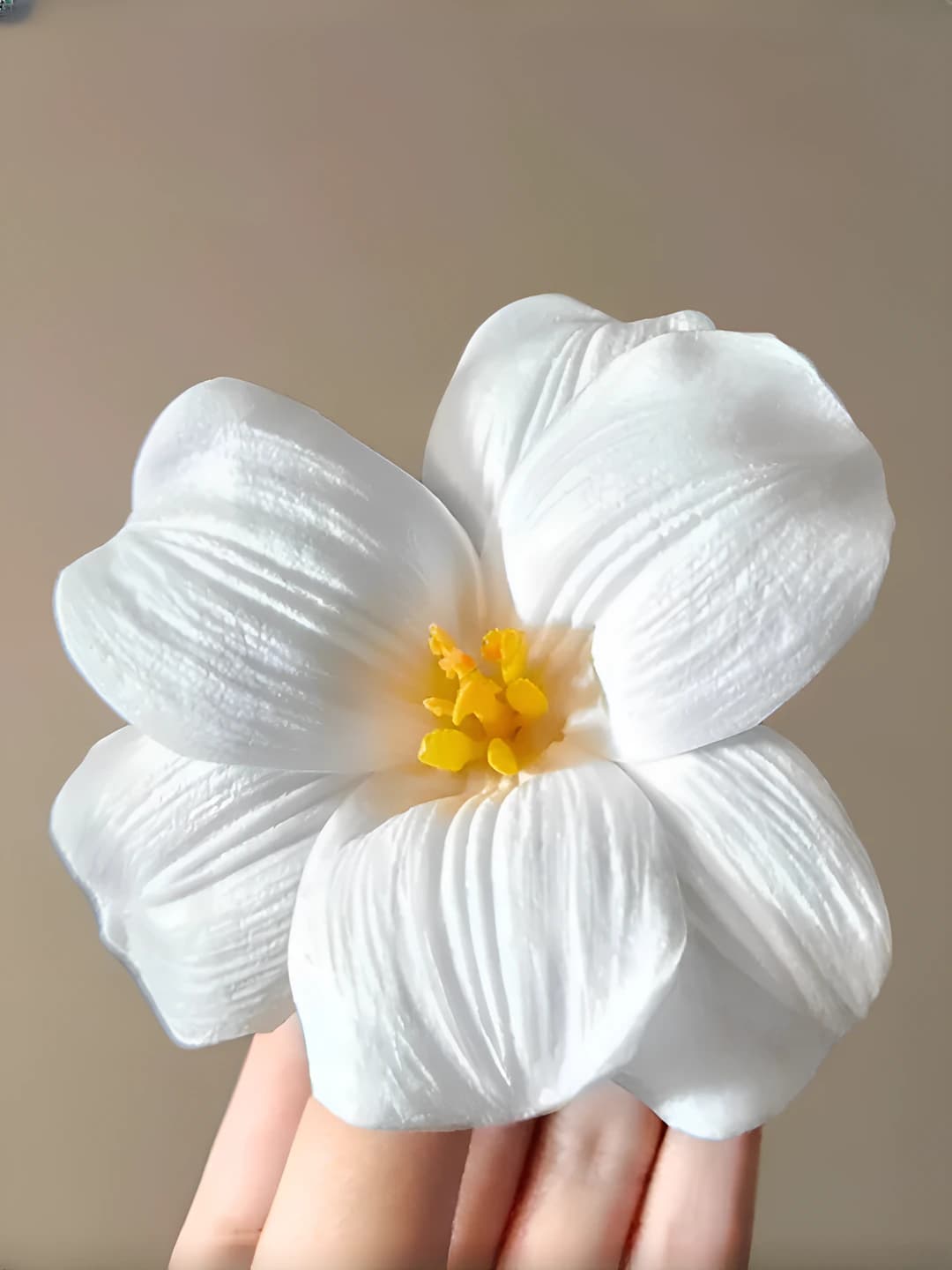 1# Tulpan side clip [White] 11 cm