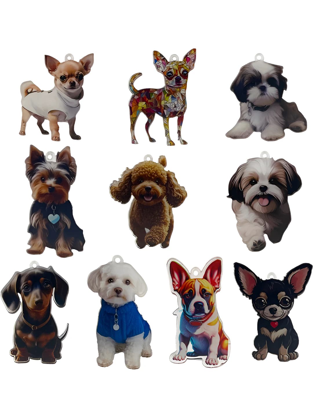 10 pc mixed acrylic print dog