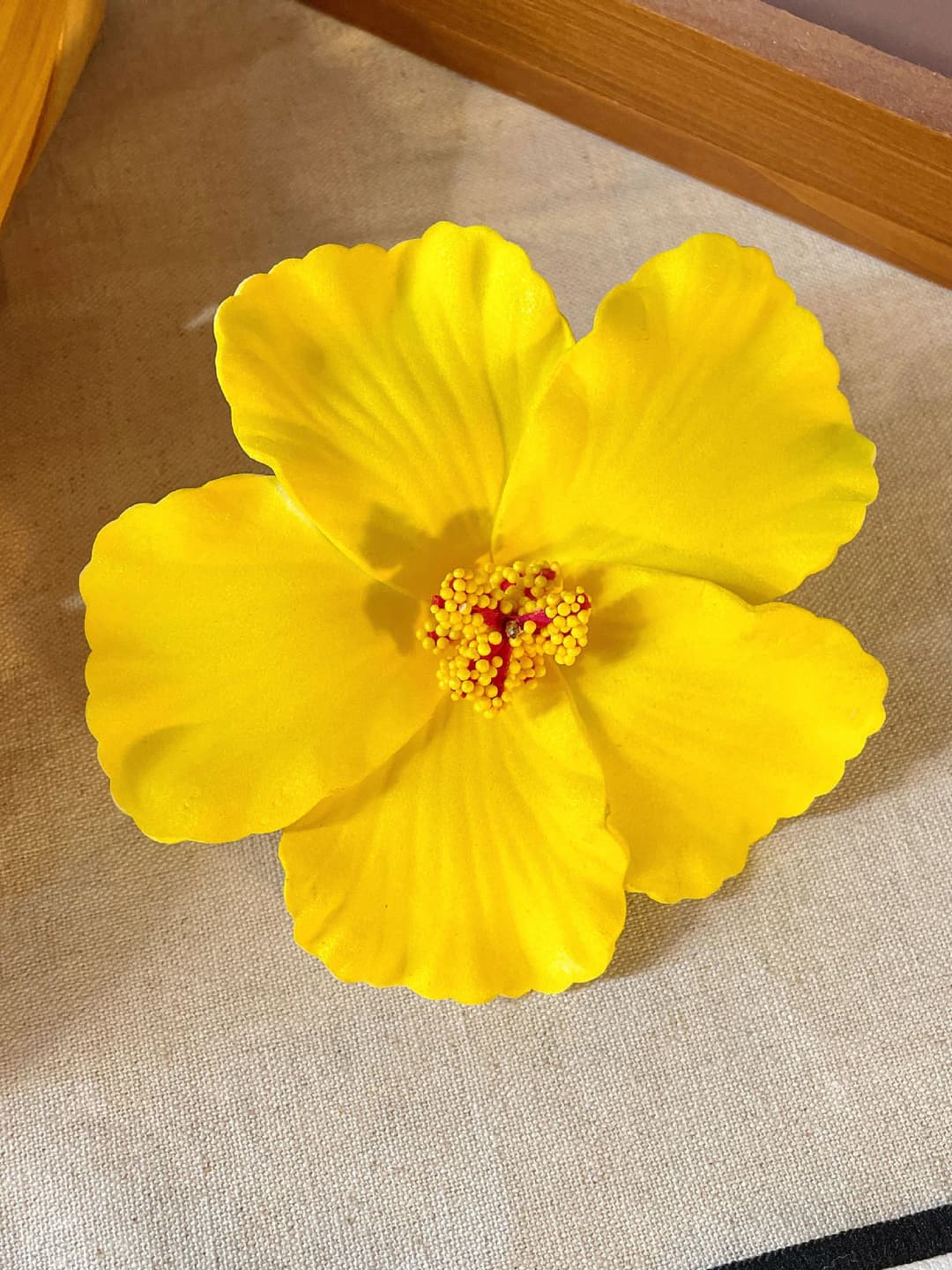 6# Yellow plumeria flower clip ~10cm