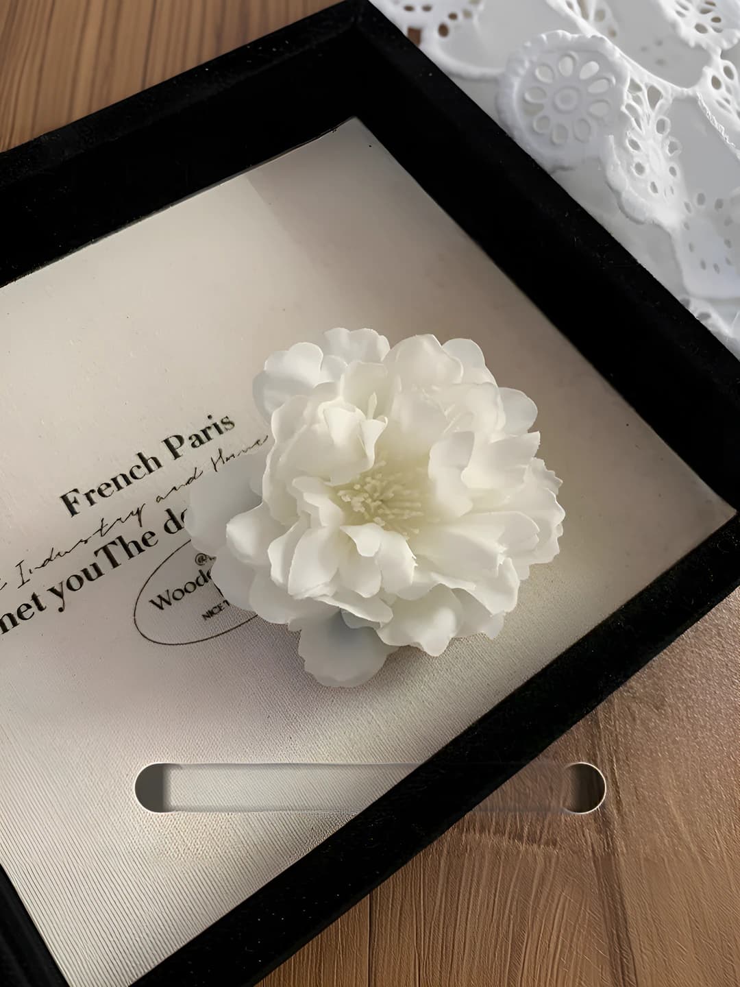 1# White ombré camellia ~7 cm
