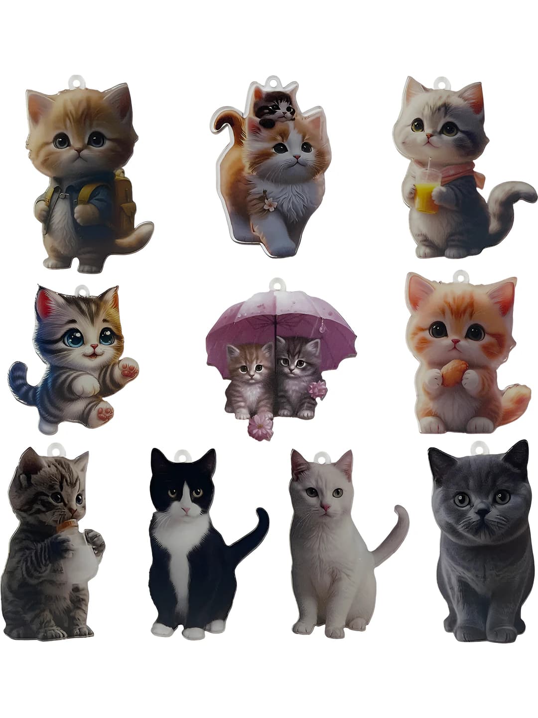 10 pc mixed acrylic print cat