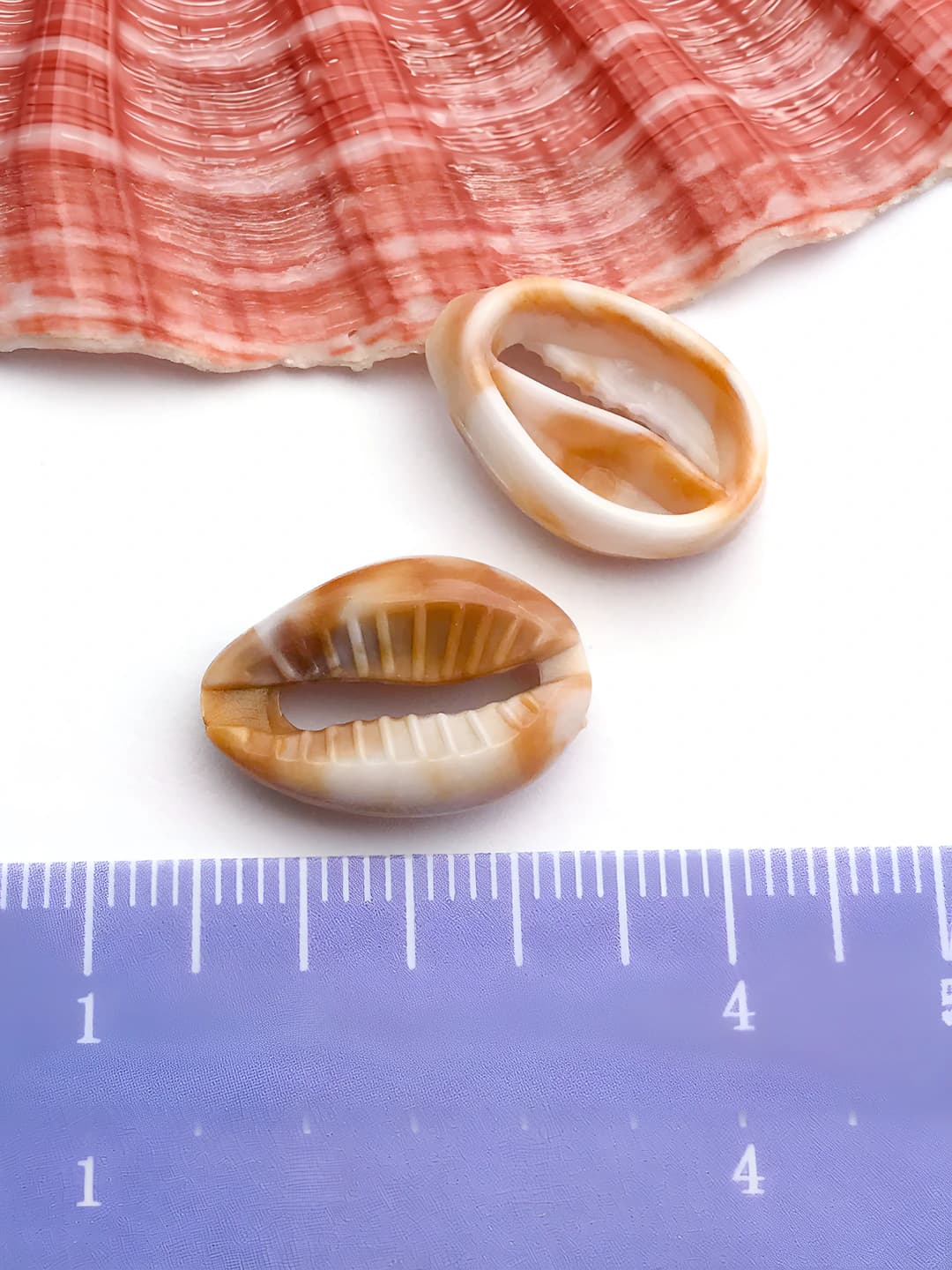 1 dona bej akril bir tomonli dengiz shalg'imi teshiksiz 13x18mm-0.6g