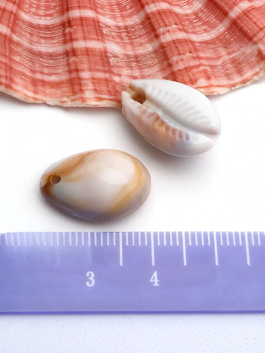 1 pc acrylic shell 12x18mm