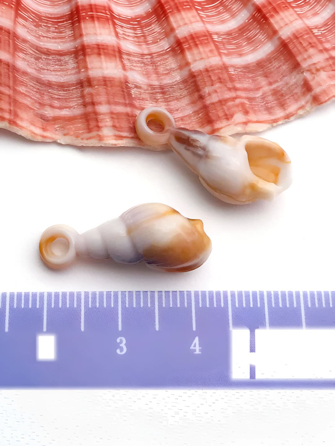 1 beige acrylic shell, 9x24mm