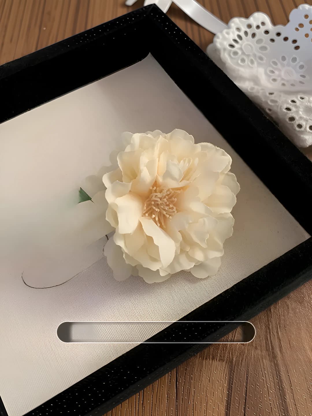 3# Apricot ombré camellia ~7 cm
