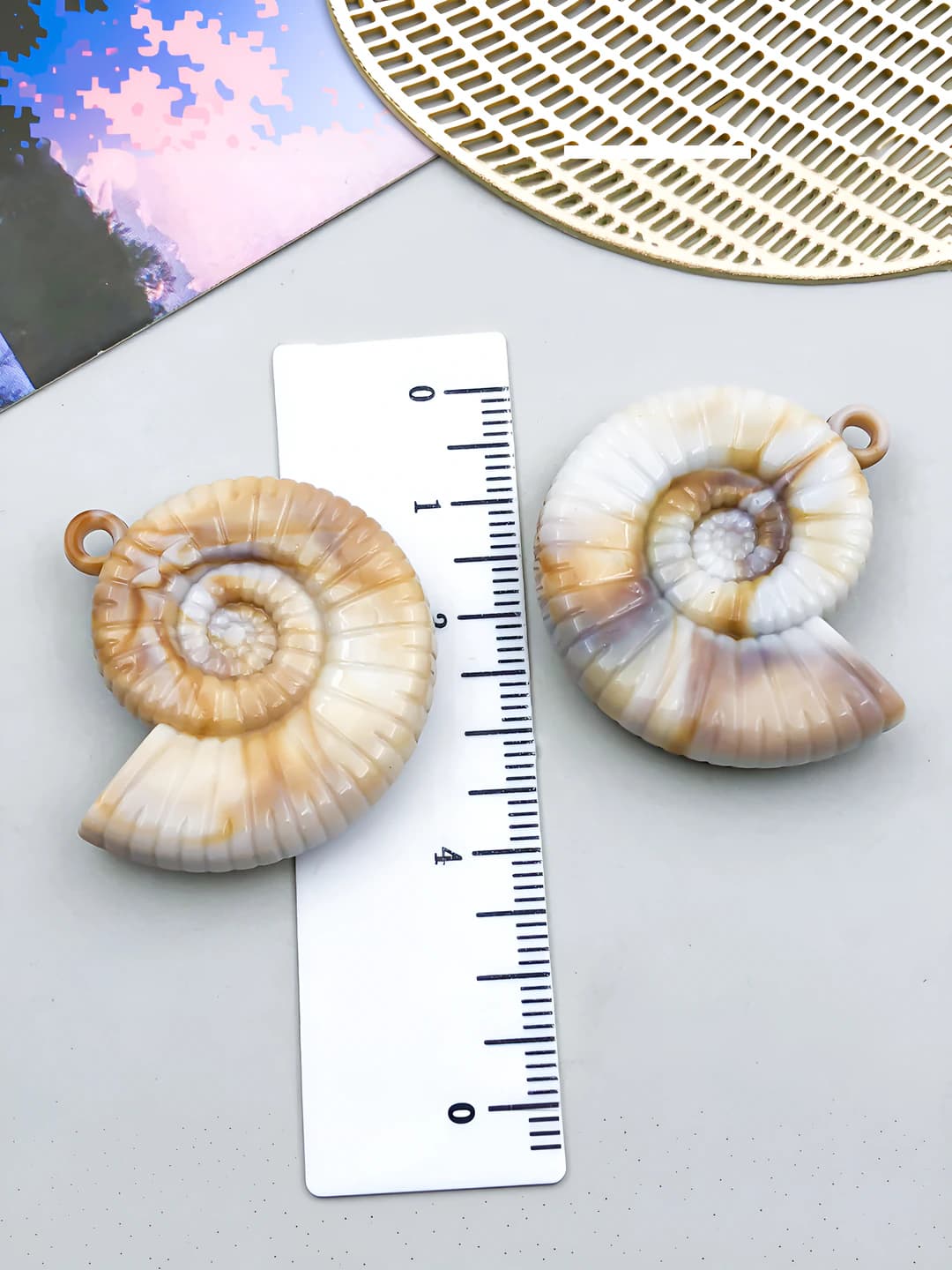 1 pc Beige acrylic sea shell 33x34x8mm-5.7g-23604