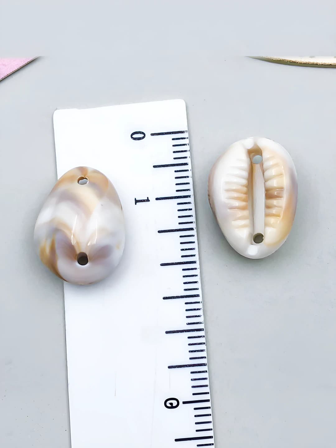 1 pc Beige acrylic ocean conch, 2 holes, 2 dangles, 18x13x8mm, 0.94g