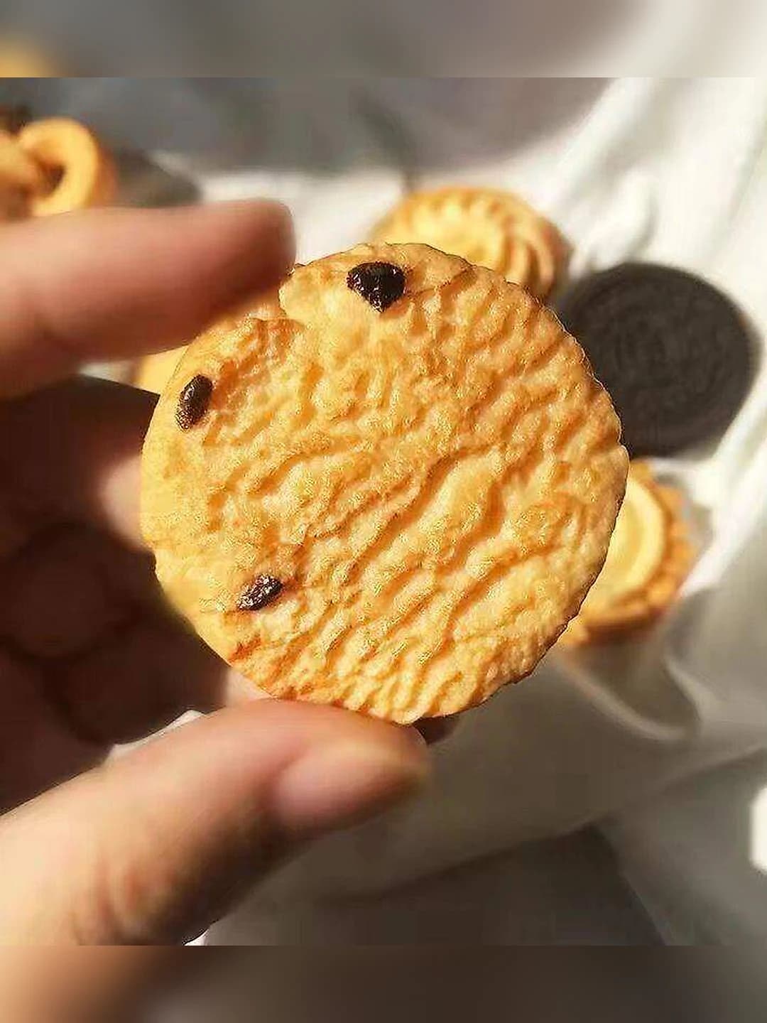 Клюквенное печенье, ~3 см