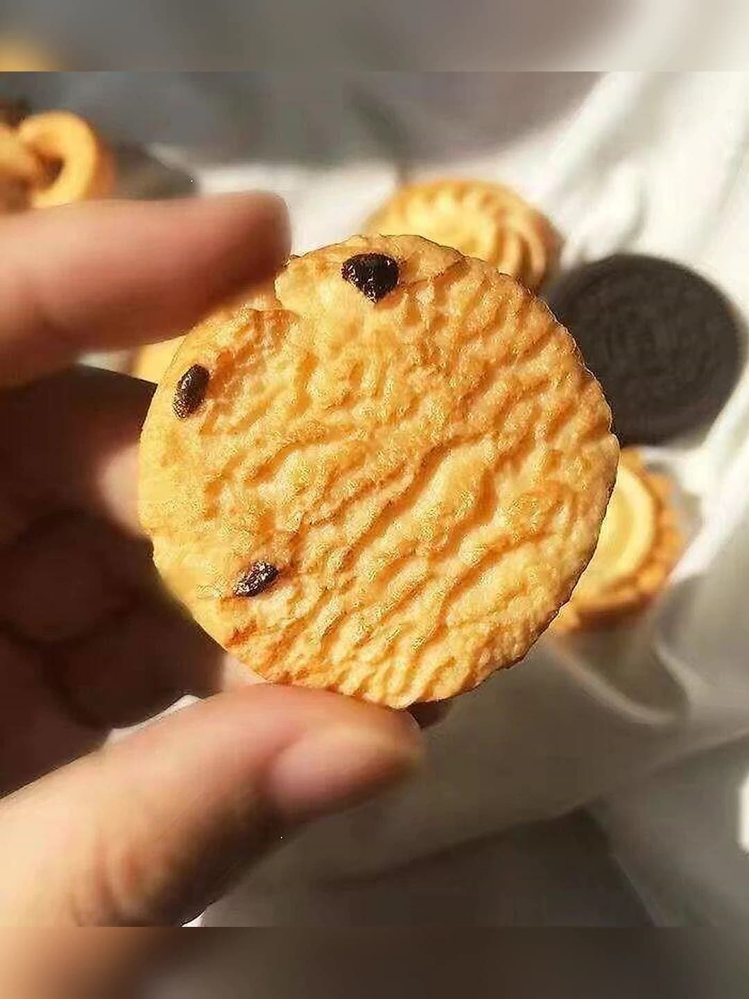 Клюквенное печенье, ~3 см