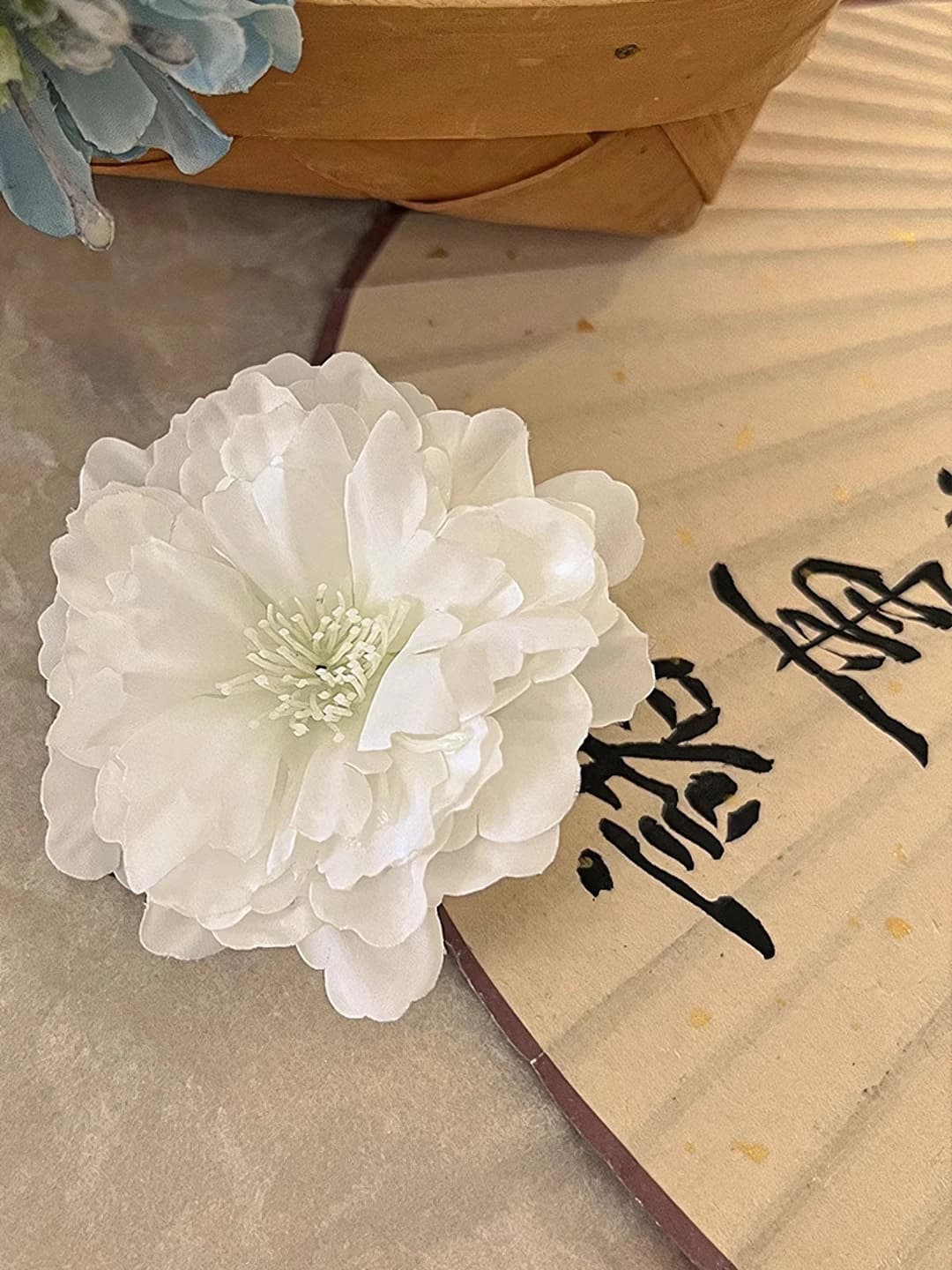 1# White ombré camellia ~7 cm
