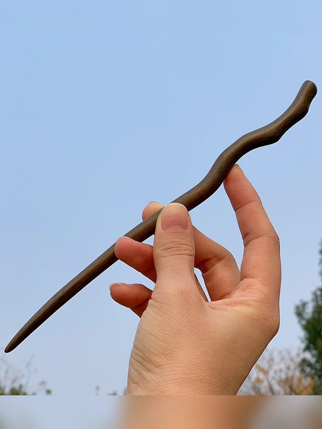 Black ebony - Tianzhi [21 cm extended]