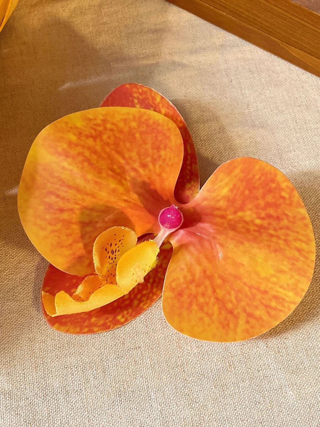 2# Orange 3D Phalaenopsis 9 cm