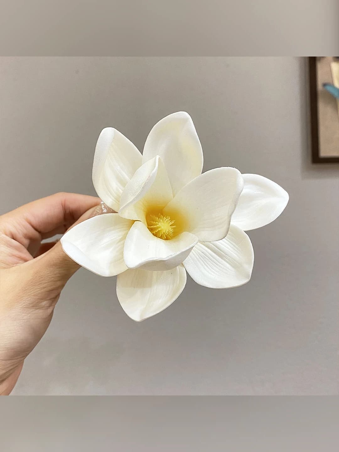 Oq magnolia guli soch qisqich